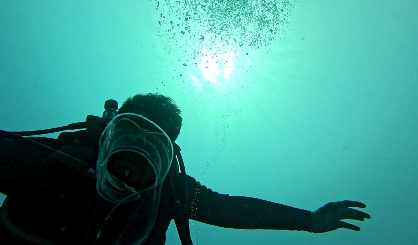 İlk kez görüntülere yansıdı! Sadece berrak suda görülebiliyor - 1. Resim