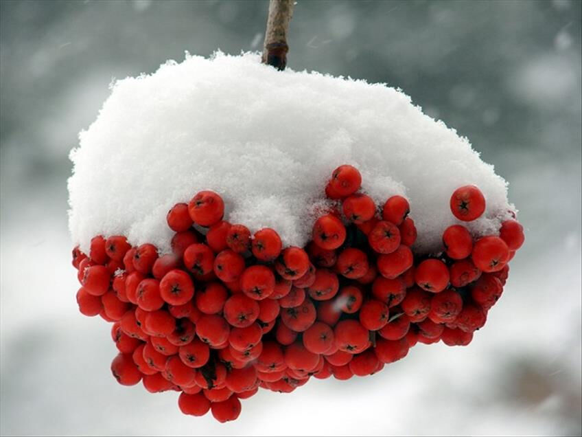 Cemre ne zaman düşer? 2025'te ilk cemre ne zaman düşecek? İşte baharın müjdecisi cemrelerin tarihleri ve anlamı Cemre ne zaman düşer? 2025'te ilk cemre ne zaman düşecek? İşte baharın müjdecisi cemrelerin tarihleri ve anlamı - 1. Resim