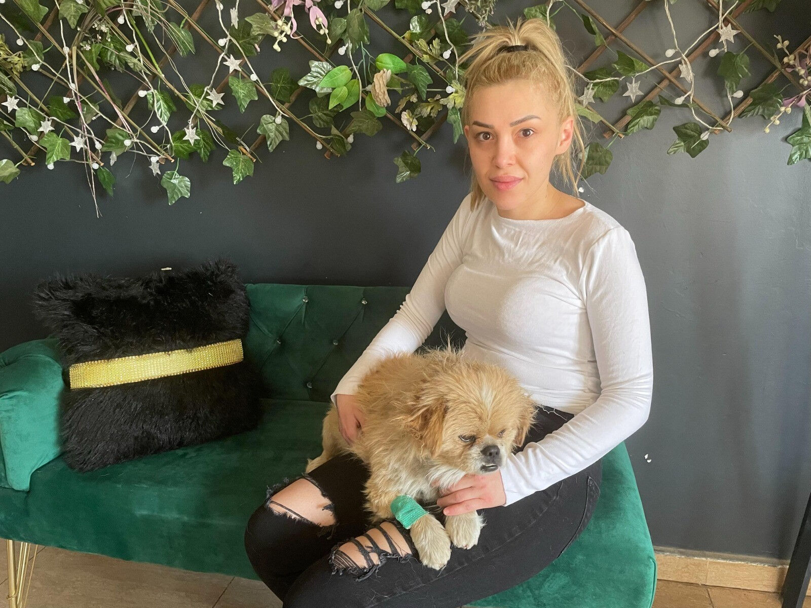 Kandil günü yürek yakan vicdansızlık! Köpeğin ayaklarını bağlayıp çöpe attı - 1. Resim