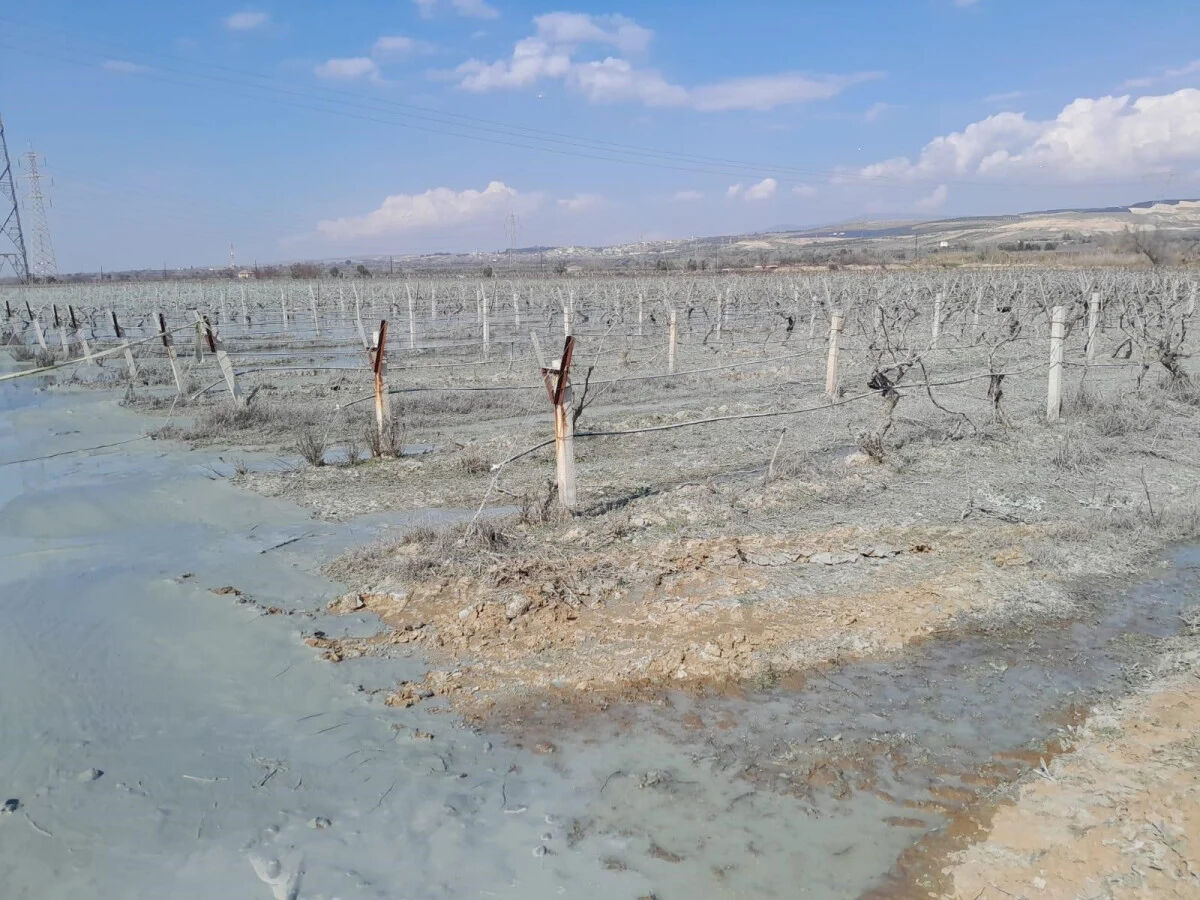 Manisa'da korkutan patlama! Su kuyusu infilak etti - 1. Resim