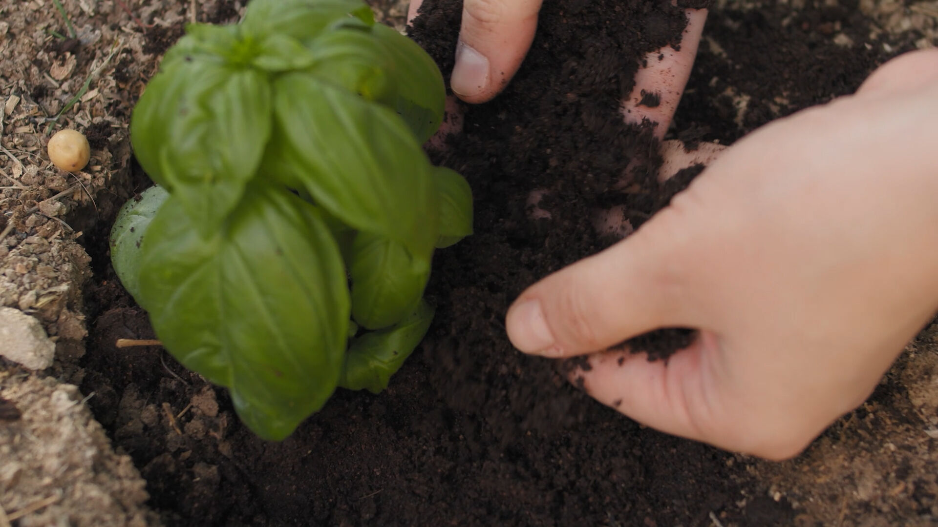 Tam 81 ilde hayata geçiriliyor! Bakan Kurum 'Çok önemli bir adım atmış olacağız' diyerek duyurdu - 1. Resim