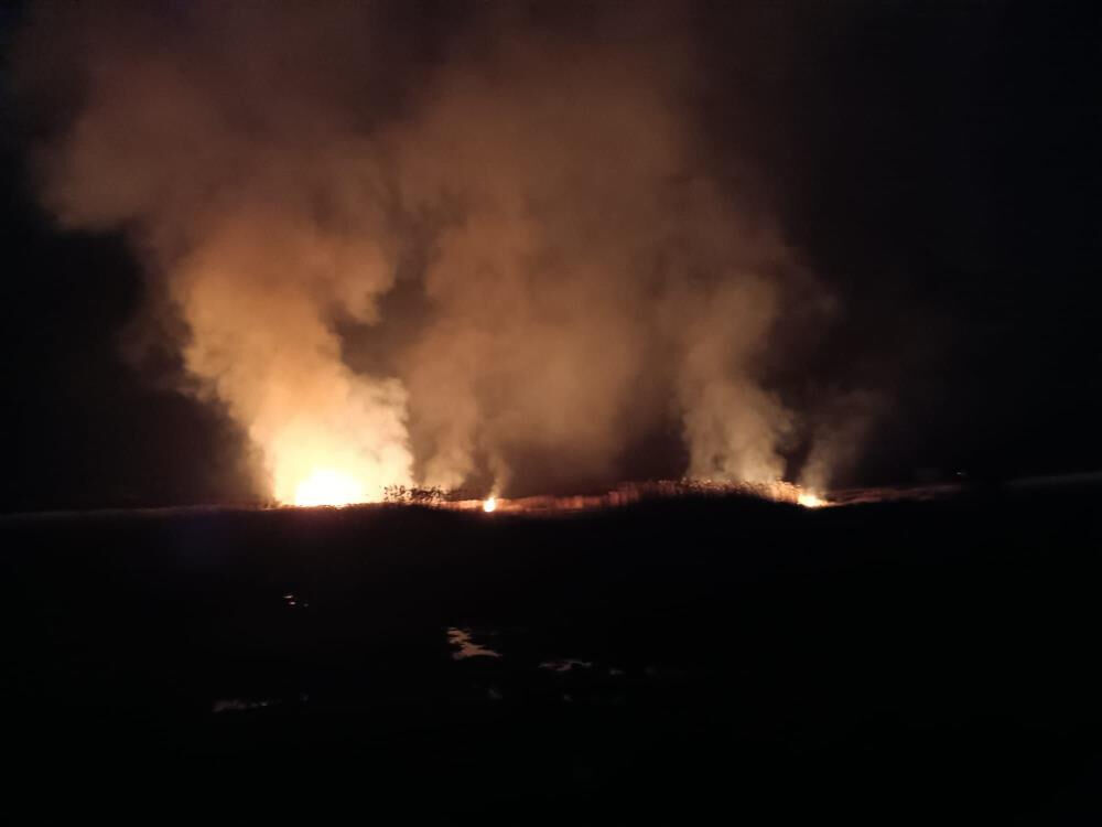 Yamadı Gölü’ndeki yangın saatler sonra söndürüldü - 2. Resim