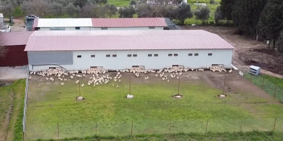 18 yaşında devlet desteğiyle başladı! Üretimini katlayarak işi büyüttü - 3. Resim