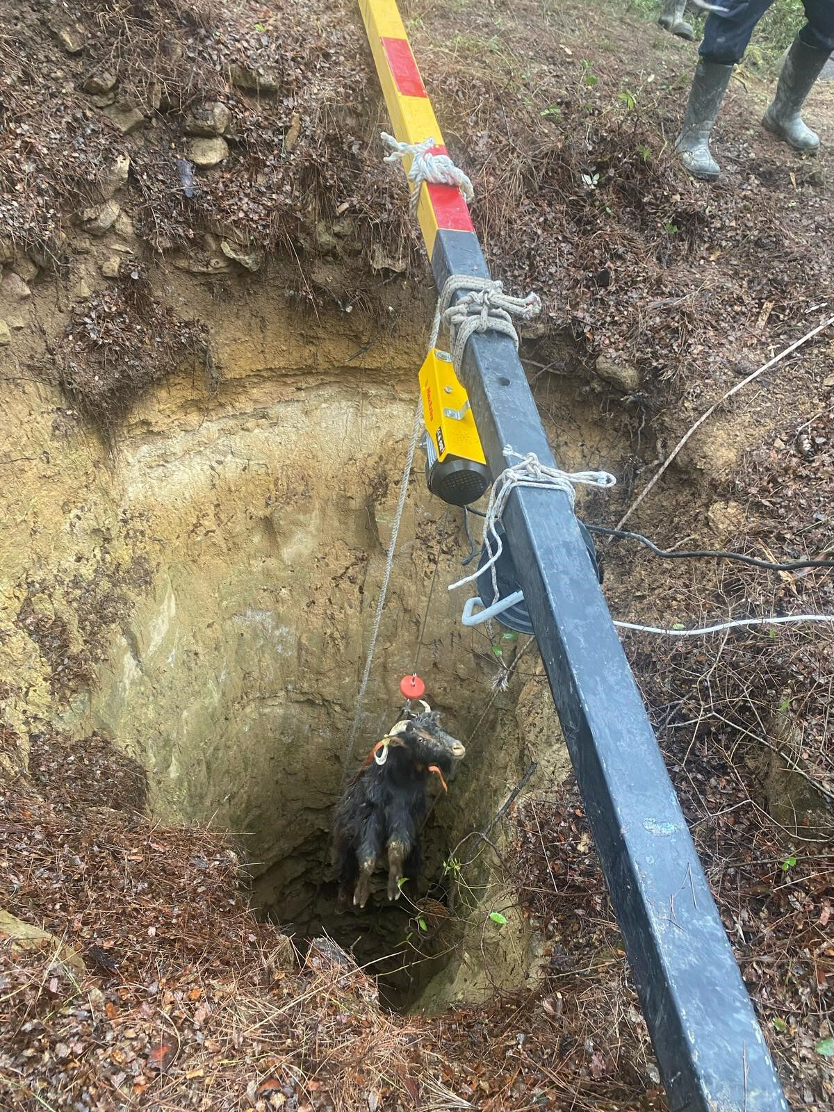 Define tünelinde kurtarma operasyonu! Edirne'de keçiler 32 metrelik çukura düştü Defineci tünelinde kurtarma operasyonu! Edirne'de keçiler 32 metrelik çukura düştü - 4. Resim