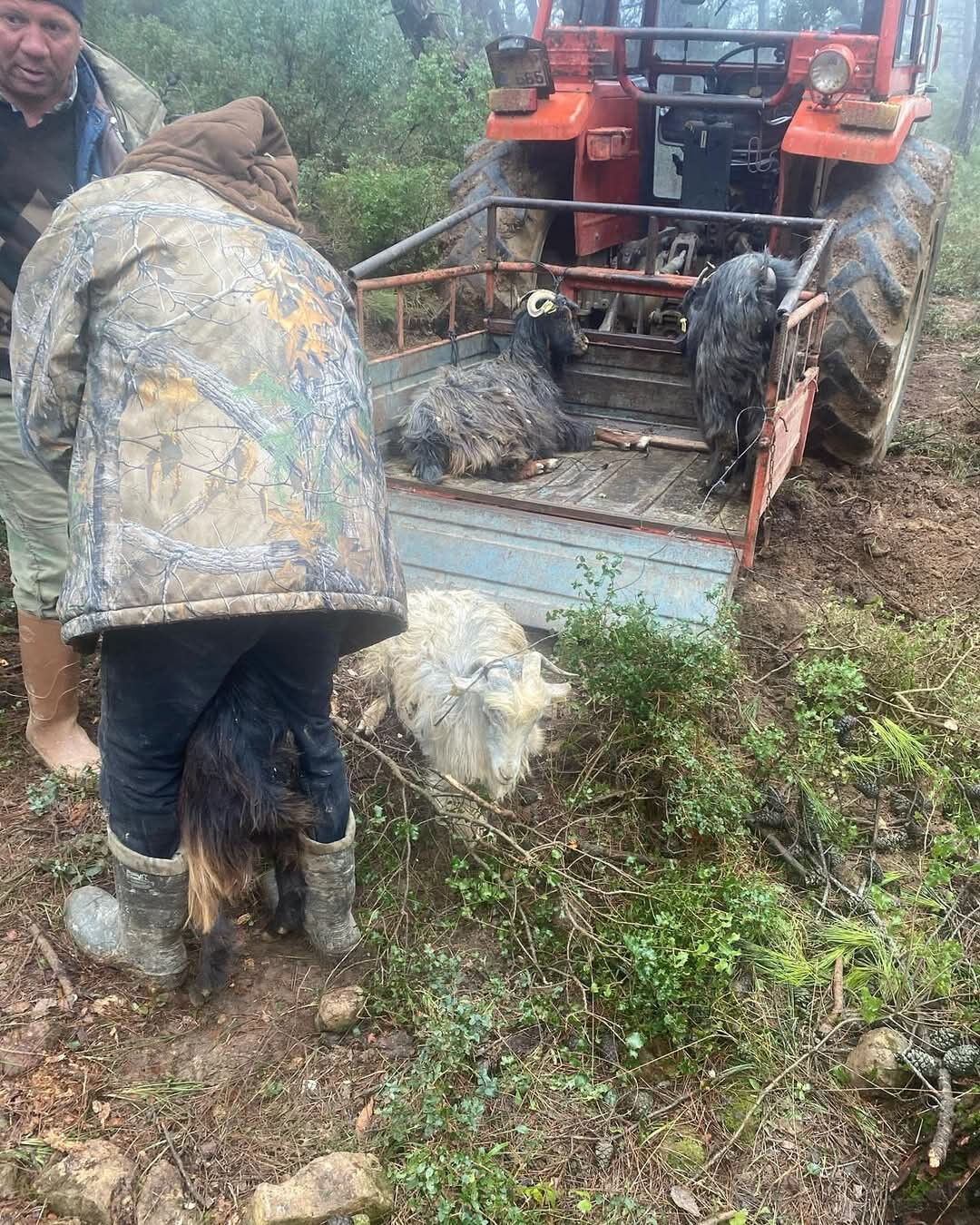 Define tünelinde kurtarma operasyonu! Edirne'de keçiler 32 metrelik çukura düştü Defineci tünelinde kurtarma operasyonu! Edirne'de keçiler 32 metrelik çukura düştü - 3. Resim