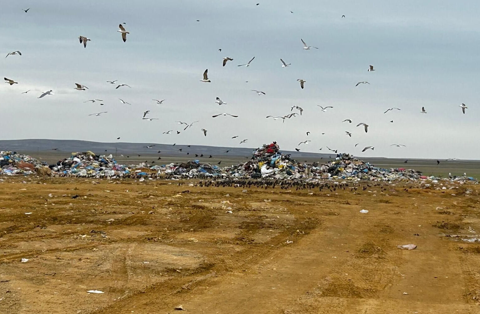 Çevre Bakanlığı'ndan Ankara Büyükşehir Belediyesi'ne 5 milyonluk rekor ceza! Çevre Bakanlığı'ndan Ankara Büyükşehir Belediyesi'ne 5 milyonluk rekor ceza! - 2. Resim