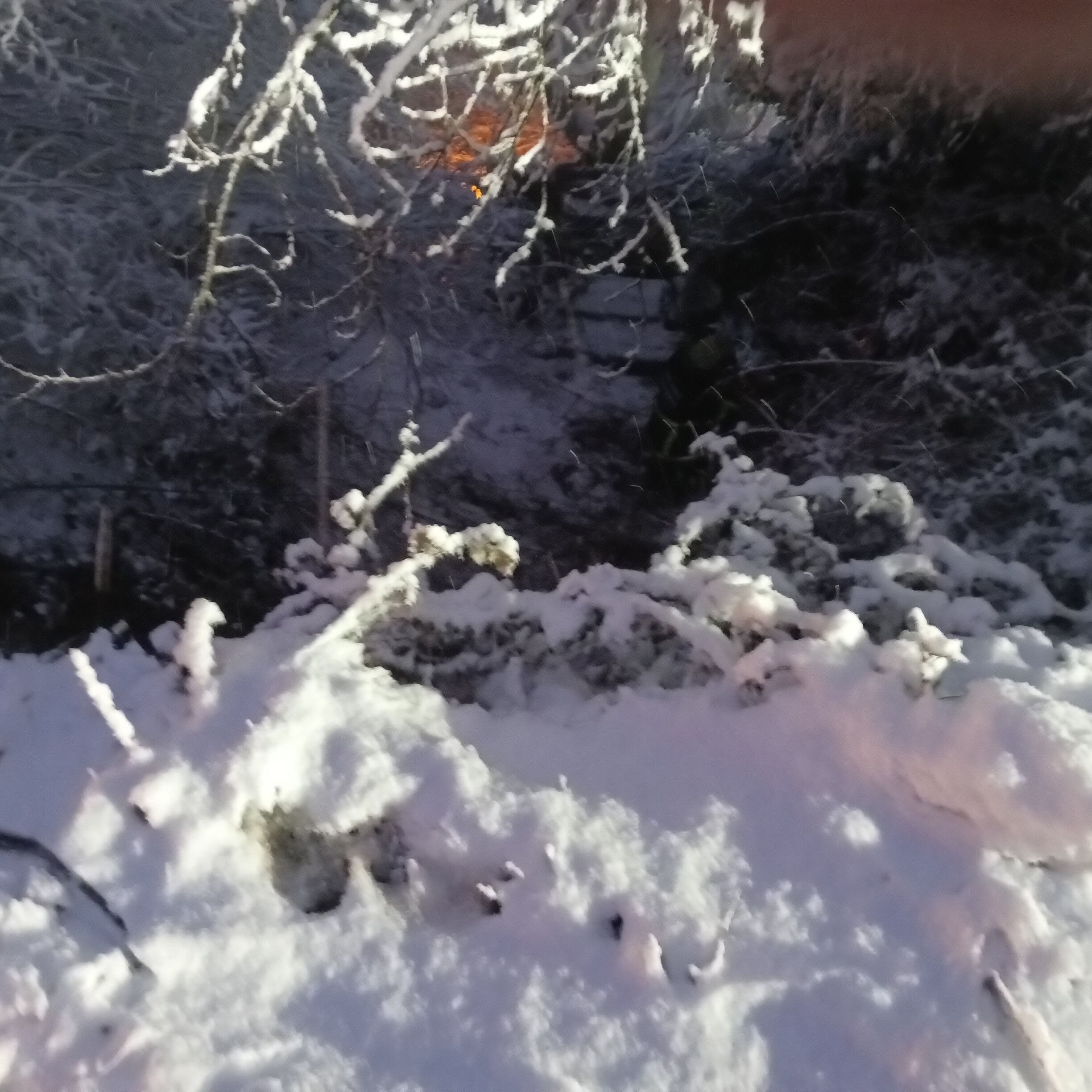 Jandarma aracı uçurumdan yuvarlandı! 2 personel yaralandı Jandarma aracı uçurumdan yuvarlandı! 2 personel yaralandı - 2. Resim