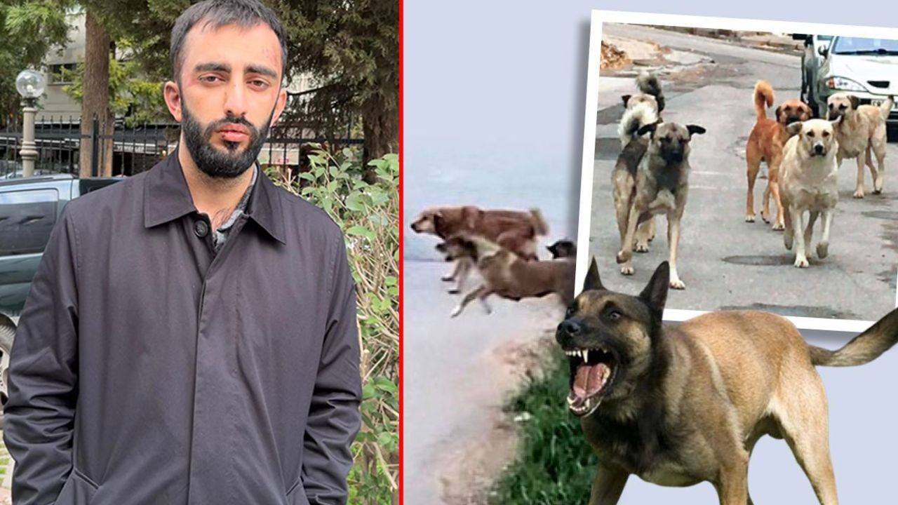 Önce başıboş köpekler ardından sahipleri saldırdı!  Çocuğuna bez almak istiyordu, 20 kişi birden darp etti