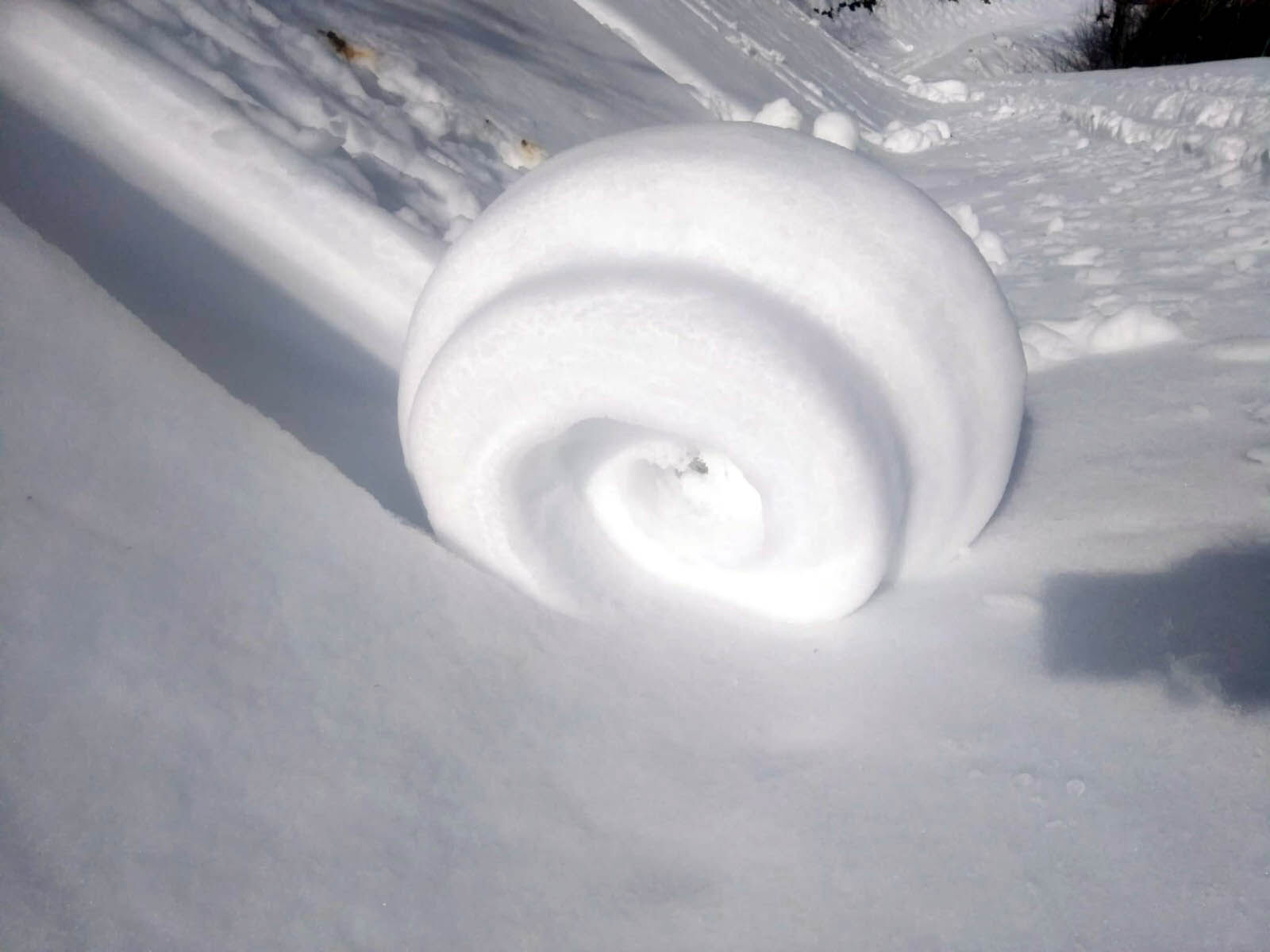 Kar yağışı sonrası ortaya çıktı! Doğada ender görülüyor - 1. Resim