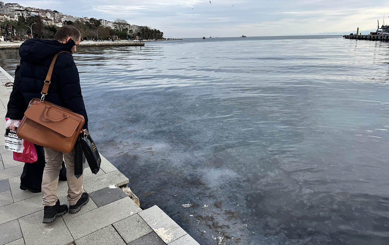Karadeniz kıyılarında denizanası istilası! Binlercesi akın akın geldi, görenler hayret etti - 1. Resim