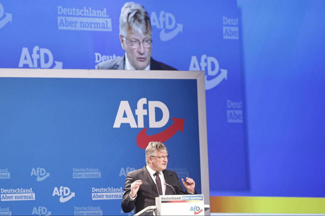 AfD, göçmen karşıtı söylemine rağmen Türklerin oylarına talip oldu - 1. Resim