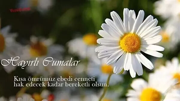 Güzel Cuma mesajları 2025! Özel dualı, hadisli, ayetli Facebook, WhatsApp'da paylaşmalık Cuma mesajları Cuma mesajları 2025! Özel dualı, hadisli, ayetli, en güzel resimli cuma mesajları - 4. Resim