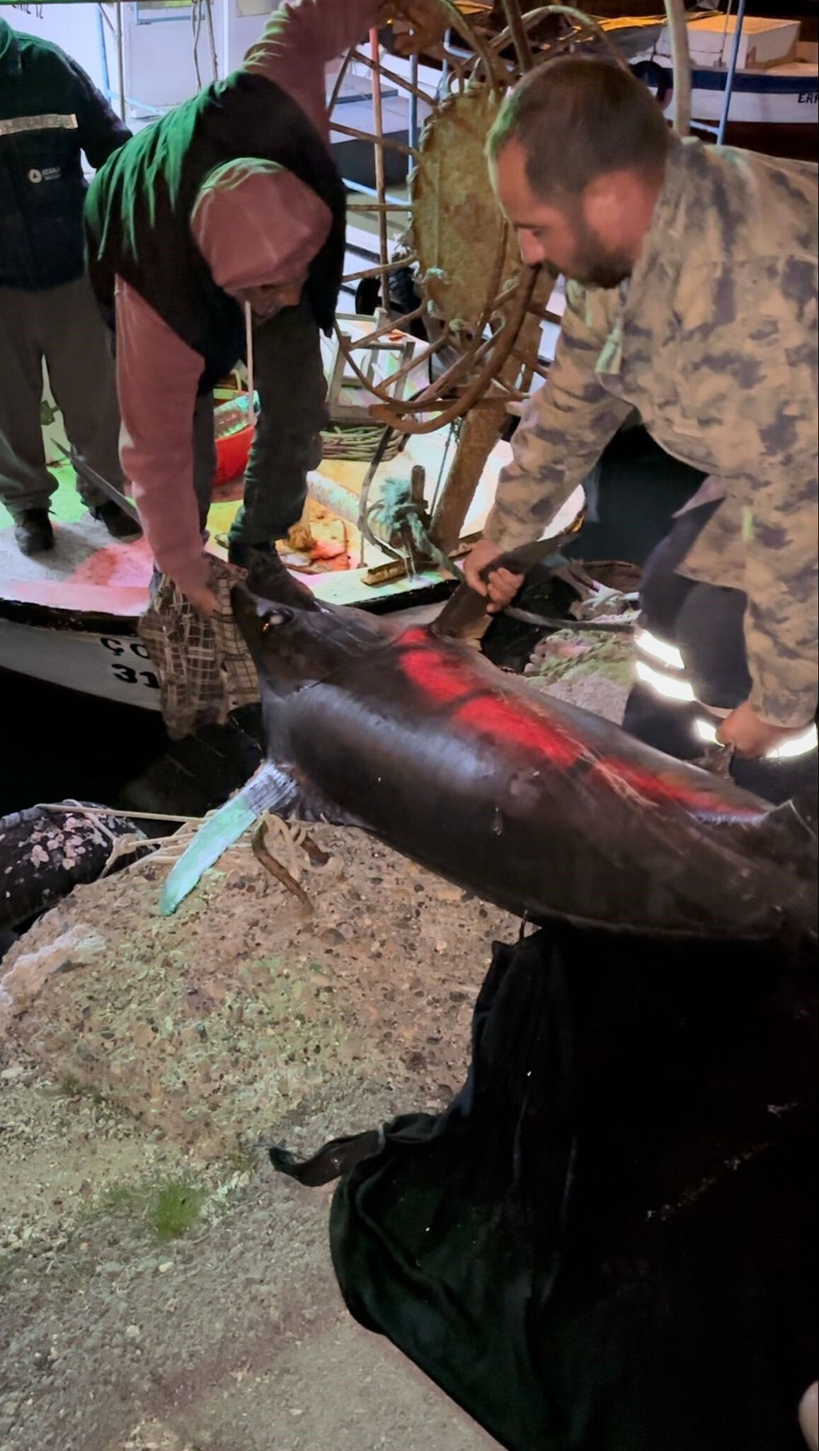 Yakaladığı 100 kiloluk kılıç balığını 40 bin TL'ye sattı - 2. Resim