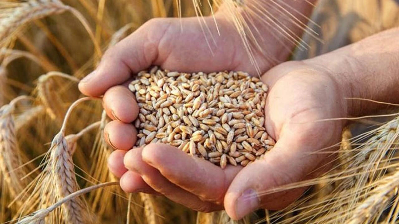 Türkiye'nin Orta Doğu ihracatında Güneydoğu etkisi! Dış satım artıyor, hedef 2 milyar dolar - 1. Resim