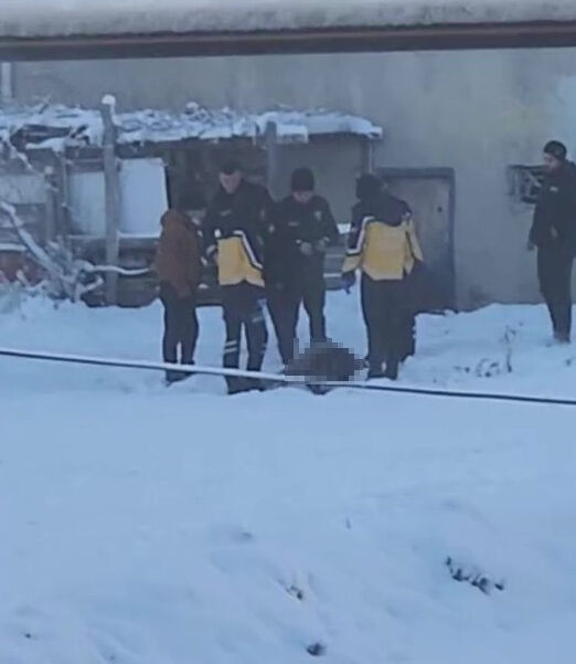Yoldan geçenler korkunç manzarayla karşılaştı! Ölü bedeni karlar içinde bulundu Yoldan geçenler korkunç manzarayla karşılaştı! Ölü bedeni karlar içinde bulundu - 1. Resim