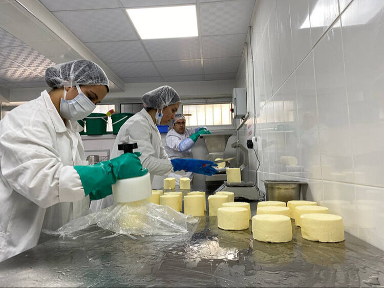 AB krizde, Türkiye'den rekor! Üretim 100 bin tonu aştı - 1. Resim