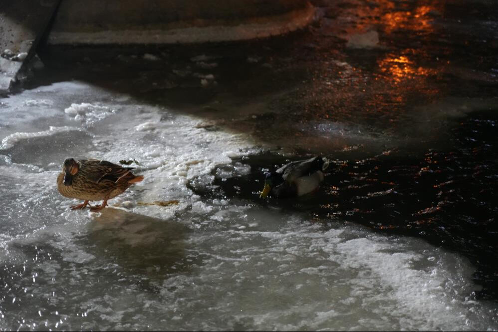 Ankara'da termometreler - 10 dereceyi gösteri! Her yer buz tuttu - 1. Resim