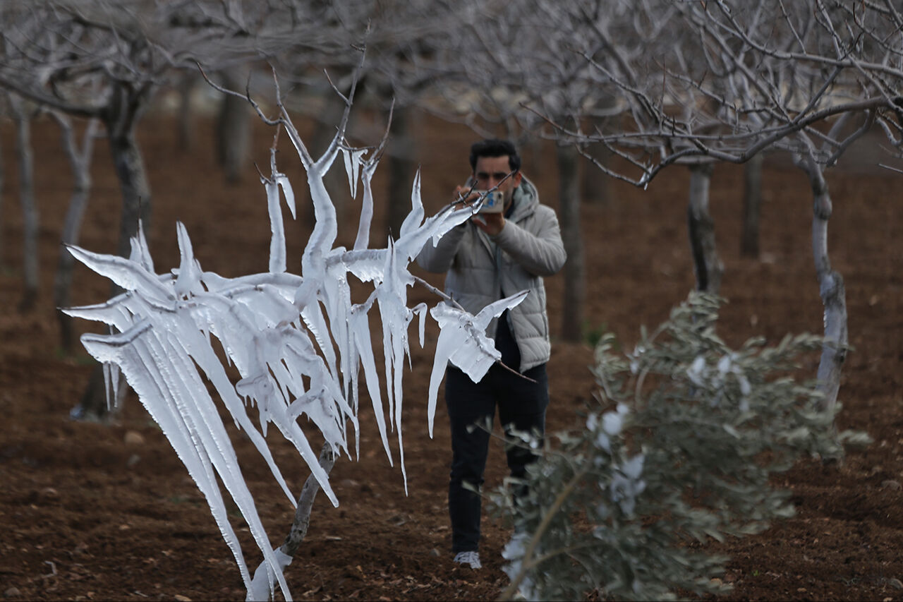 Görenler hayret etti, hatıra fotoğrafı çekti! Şanlıurfa'da fıstık ağaçları buz sarkıtına dönüştü - 2. Resim