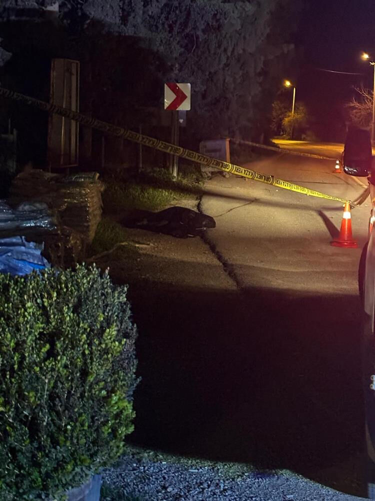 9 yaşında yarım kaldı, 36 yaşında vefat etti! Hasan Tabak geriye acı hikayesini bıraktı - 1. Resim