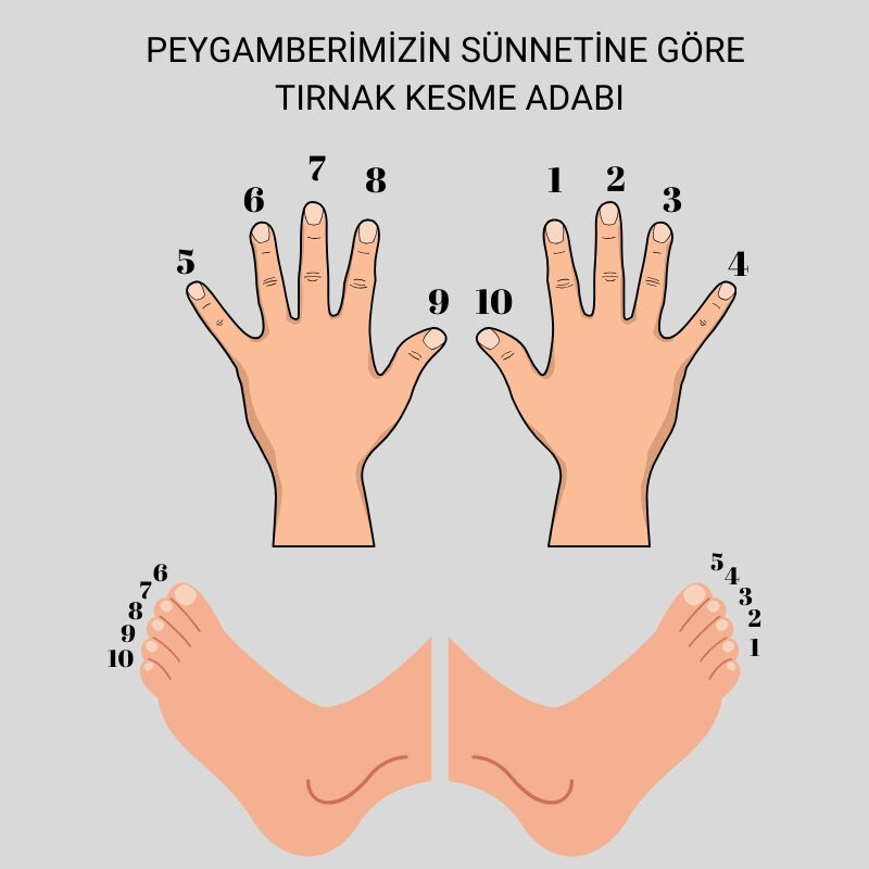 Tırnak ne zaman kesilir, hangi gün? Peygamber Efendimizin sünnetine göre tırnak nasıl kesilir? Sünnet olan tırnak kesme günleri - 2. Resim