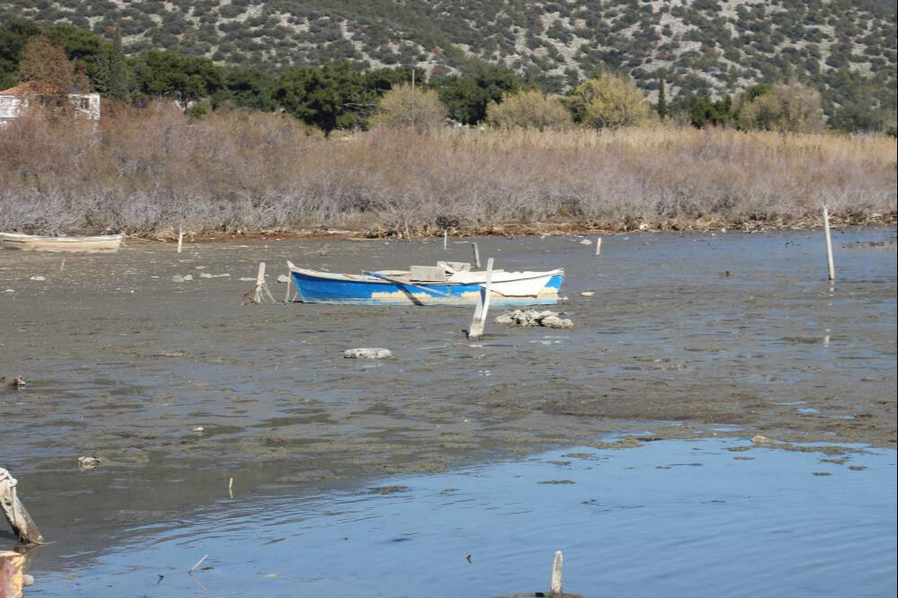 Aydın'da ürküten manzara! Sahile gidenler fark etti - 1. Resim