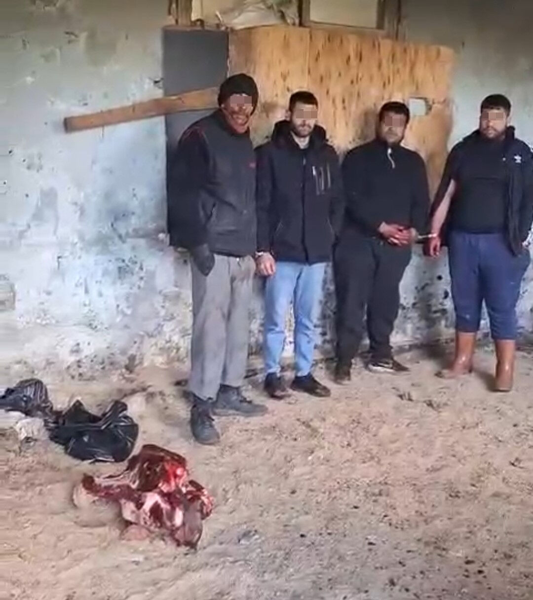 Ramazan öncesi at etini piyasaya süreceklerdi! Gıda sahtekarları suç üstü yakalandı Ramazan öncesi at etini piyasaya süreceklerdi! Gıda sahtekarları suç üstü yakalandı - 1. Resim