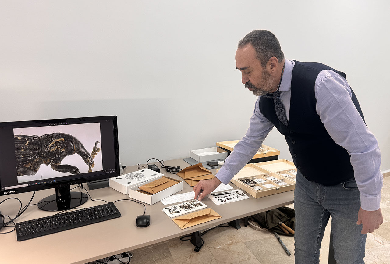 Böceğe karısının adını verdi! Bilim adamından literatüre geçen katkı dikkat çekti - 4. Resim