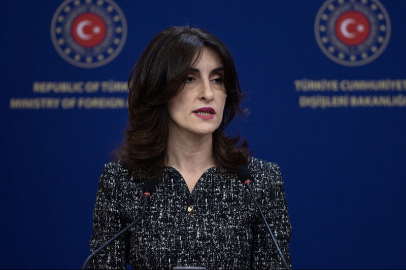 Gürcistan, Türkiye'yi işaret etti! 