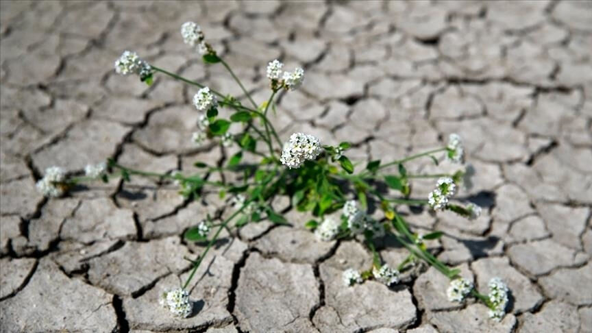 Türkiye'de bir ilk! TBMM'de kabul edildi: 10 milyon liraya kadar cezası var - 4. Resim