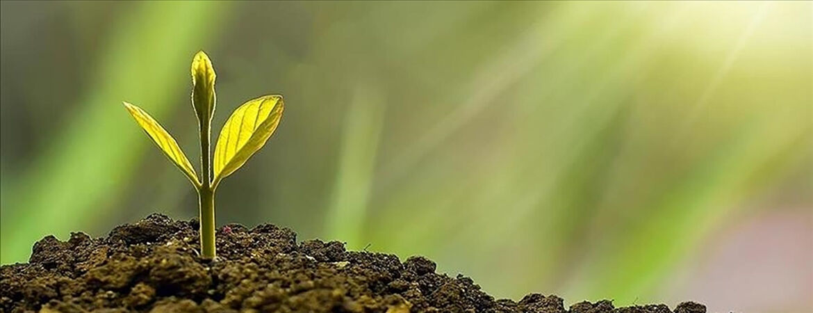 Türkiye'de bir ilk! TBMM'de kabul edildi: 10 milyon liraya kadar cezası var - 2. Resim