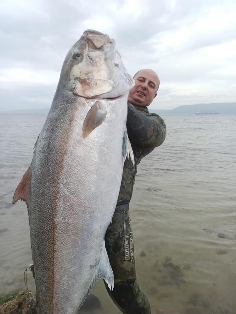 1 saatlik çabası sonuç verdi! Devasa balığı zıpkınla yakaladı 1 saatlik çabası sonuç verdi! Devasa balığı zıpkınla yakaladı - 1. Resim