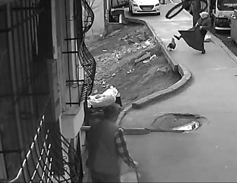 Horoz kadına, kadın da horoza saldırdı! İstanbul'da ilginç görüntü Horoz kadına, kadın da horoza saldırdı! İstanbul'da ilginç görüntü - 1. Resim