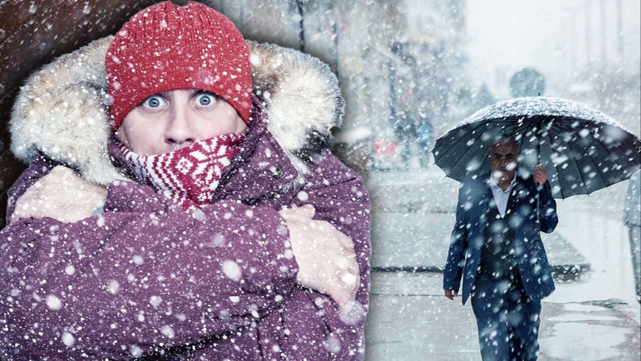 Ordu'da bugün okullar tatil mi? 27 Şubat 2025 Ordu'da okullar var mı? Ordu'da bugün okullar tatil mi? 27 Şubat 2025 Ordu'da okullar var mı? - 1. Resim