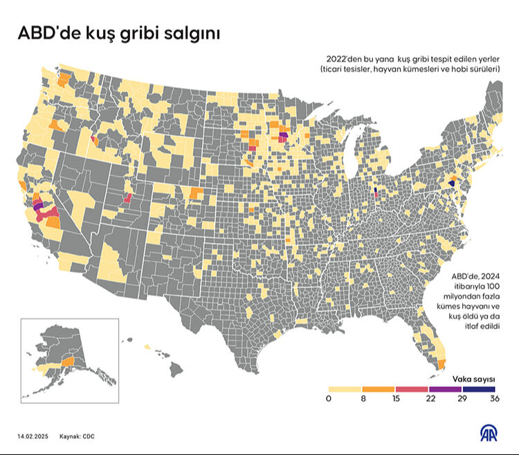 Salgın yumurtayı vurdu, fiyatlar en az iki kat arttı! Türkiye'den ABD'ye ihracat başladı Salgın yumurtayı vurdu, fiyatlar en az iki kat arttı! Türkiye'den ABD'ye ihracat başladı - 2. Resim