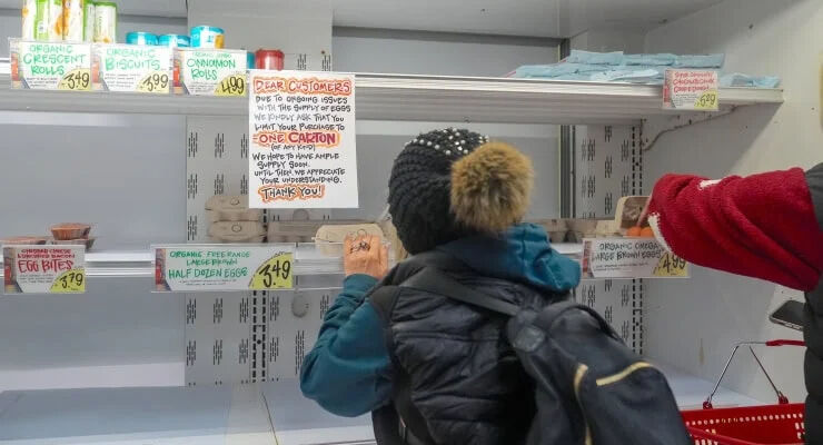 Salgın yumurtayı vurdu, fiyatlar en az iki kat arttı! Türkiye'den ABD'ye ihracat başladı Salgın yumurtayı vurdu, fiyatlar en az iki kat arttı! Türkiye'den ABD'ye ihracat başladı - 1. Resim