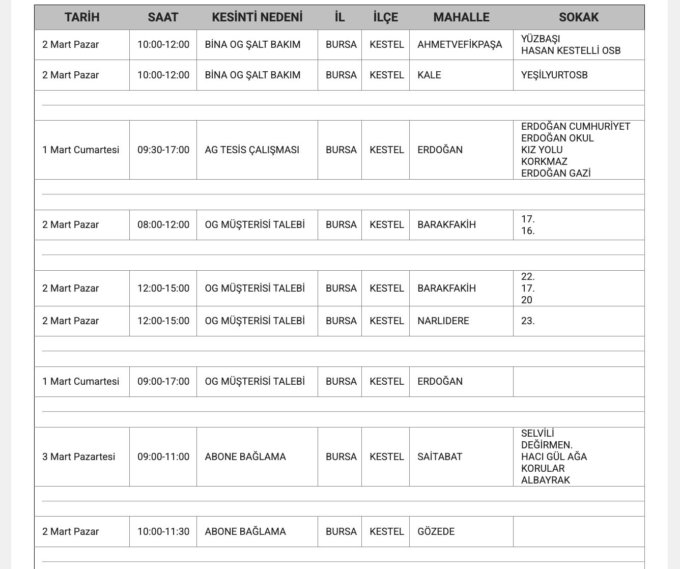 Bursa'da elektrikler ne zaman gelecek? Bursa'da elektrik kesintisi yaşanacak iller belli oldu - 12. Resim