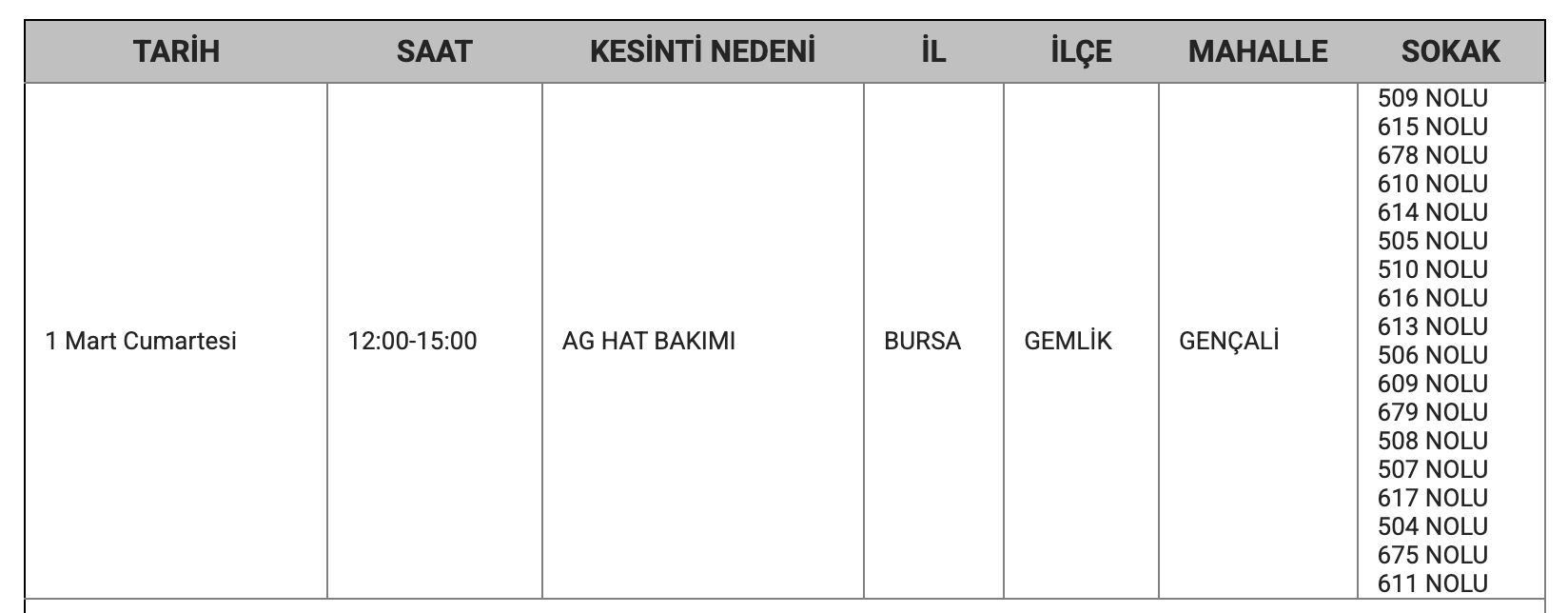 Bursa'da elektrikler ne zaman gelecek? Bursa'da elektrik kesintisi yaşanacak iller belli oldu - 4. Resim