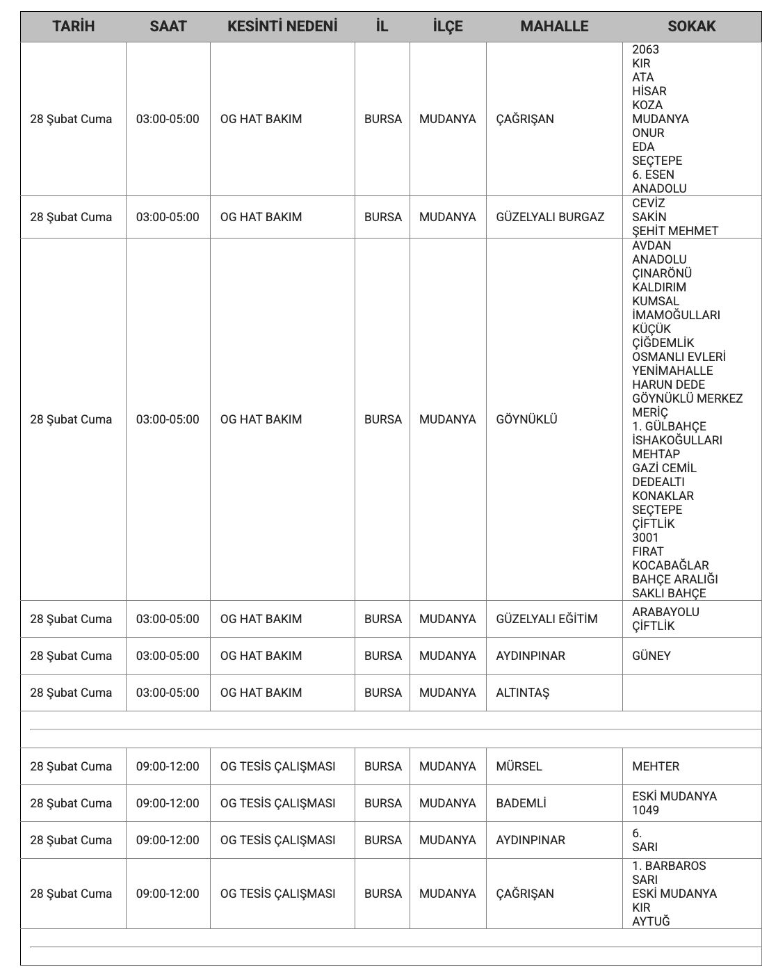 Bursa'da elektrikler ne zaman gelecek? Bursa'da elektrik kesintisi yaşanacak iller belli oldu - 13. Resim