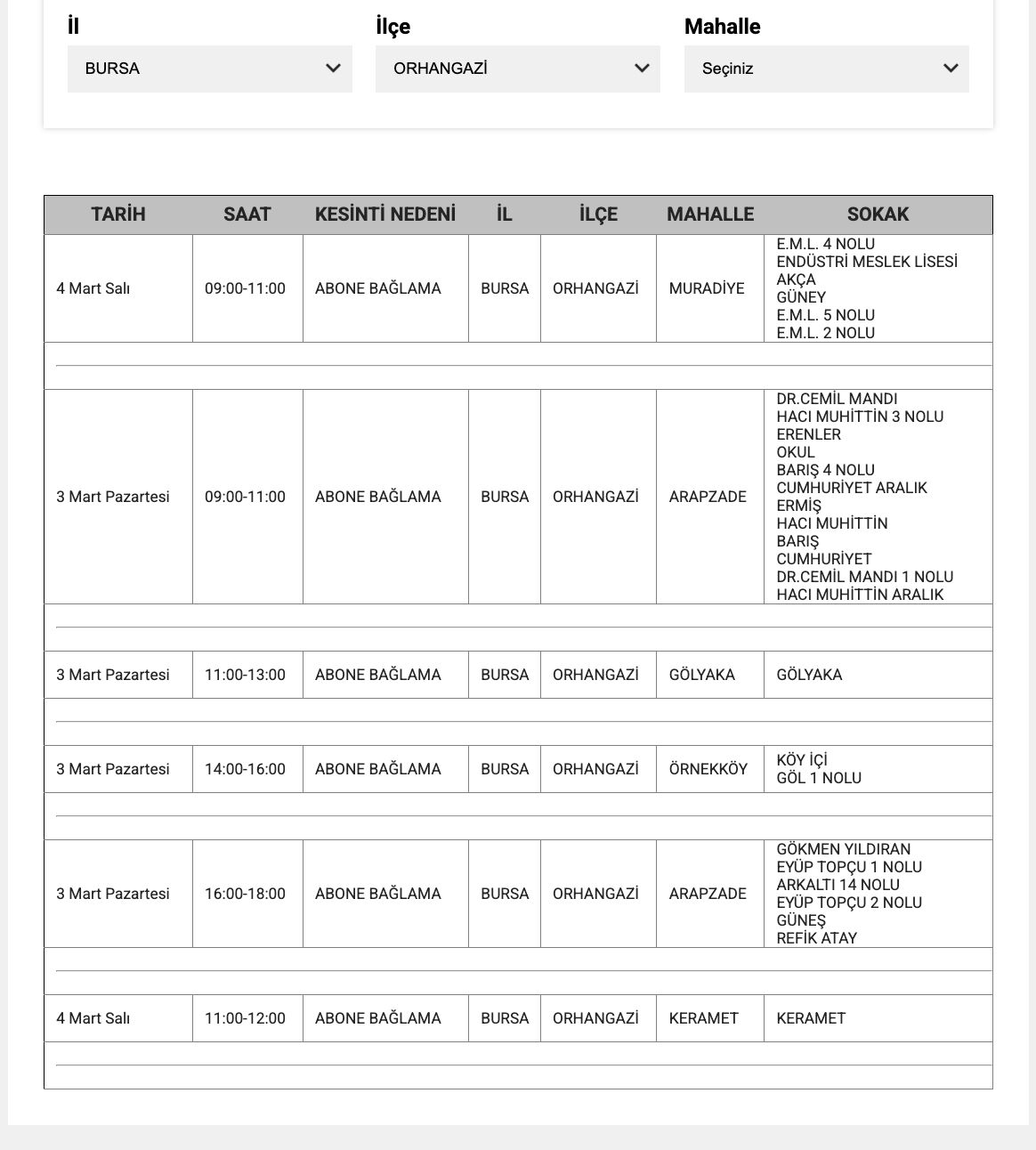 Bursa'da elektrikler ne zaman gelecek? Bursa'da elektrik kesintisi yaşanacak iller belli oldu - 16. Resim