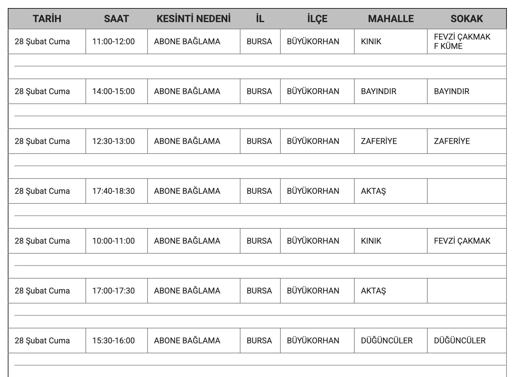 Bursa'da elektrikler ne zaman gelecek? Bursa'da elektrik kesintisi yaşanacak iller belli oldu - 3. Resim