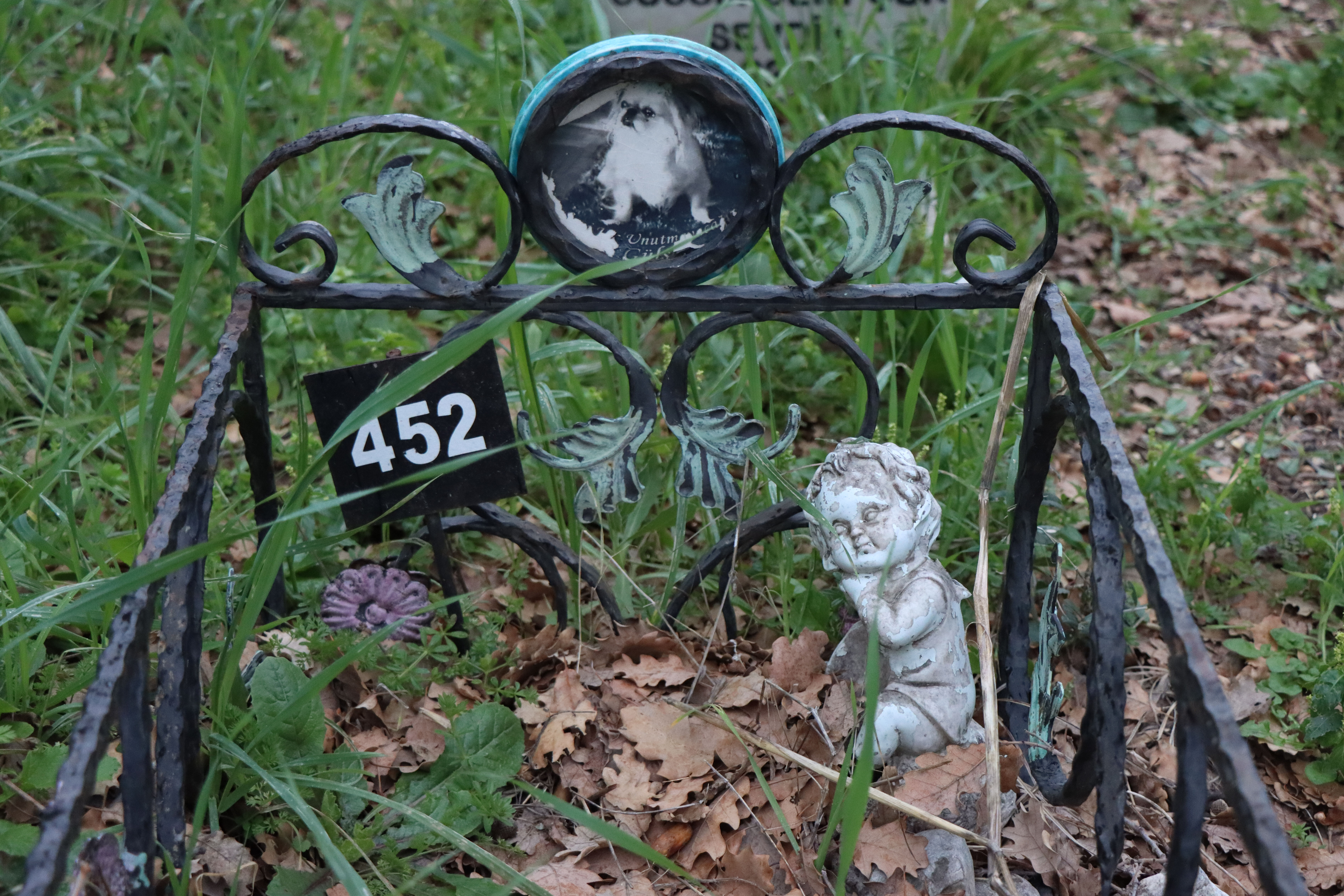 Bu mezarlığa talep çok fazla! Binden fazla hayvan gömüldü: Kapasite artırıldı Bu mezarlığa talep çok fazla! Kapasite artırıldı - 1. Resim