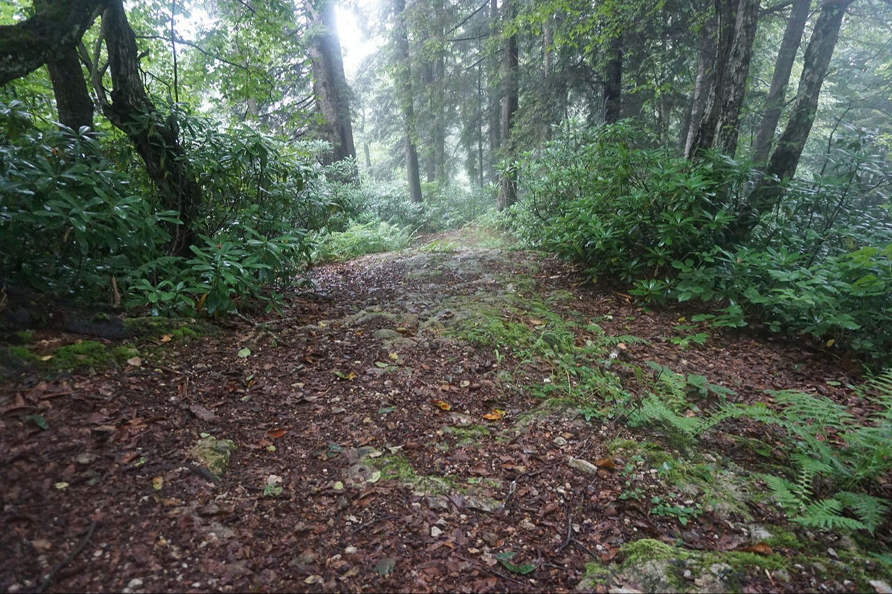 564 yıl sonra çözülen gizem! Fatih Sultan Mehmed'in fetih rotası belirlendi - 7. Resim