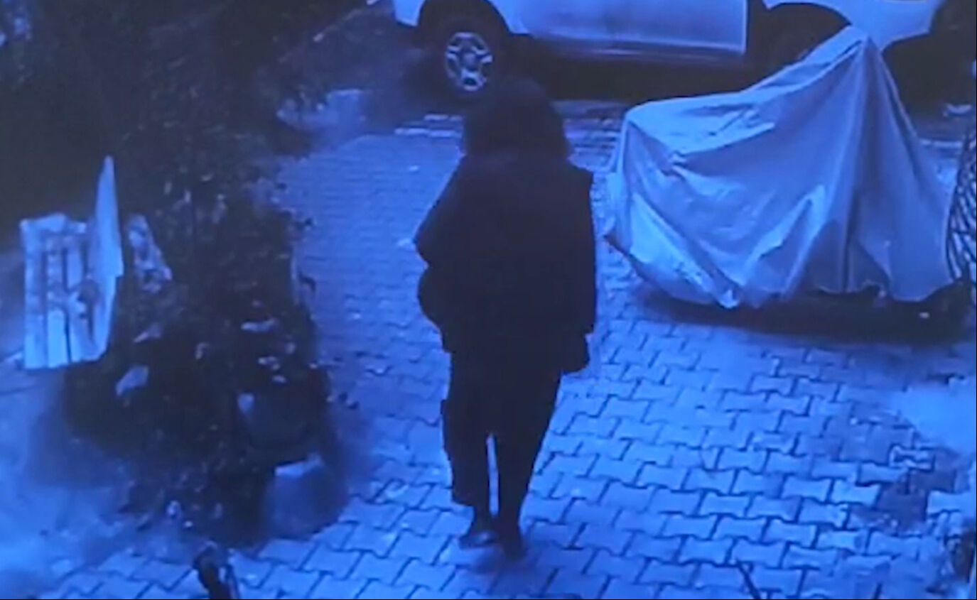 Kayıp mimar Ece Gürel'in son görüntüleri ortaya çıktı! Evden çıkıp ormanlık alana doğru yürümüş Kayıp mimar Ece Gürel'in son görüntüleri ortaya çıktı! Evden çıkıp ormanlık alana doğru yürümüş - 2. Resim