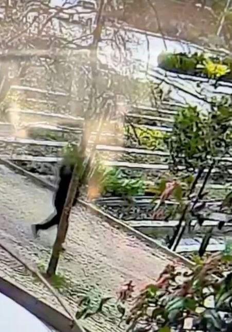 Kayıp mimar Ece Gürel'in son görüntüleri ortaya çıktı! Evden çıkıp ormanlık alana doğru yürümüş Kayıp mimar Ece Gürel'in son görüntüleri ortaya çıktı! Evden çıkıp ormanlık alana doğru yürümüş - 3. Resim