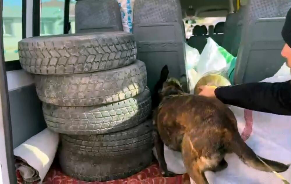 10 kilo uyuşturucu yakalattı! Savunması şoke etti: "Şeker sandım..." - 1. Resim