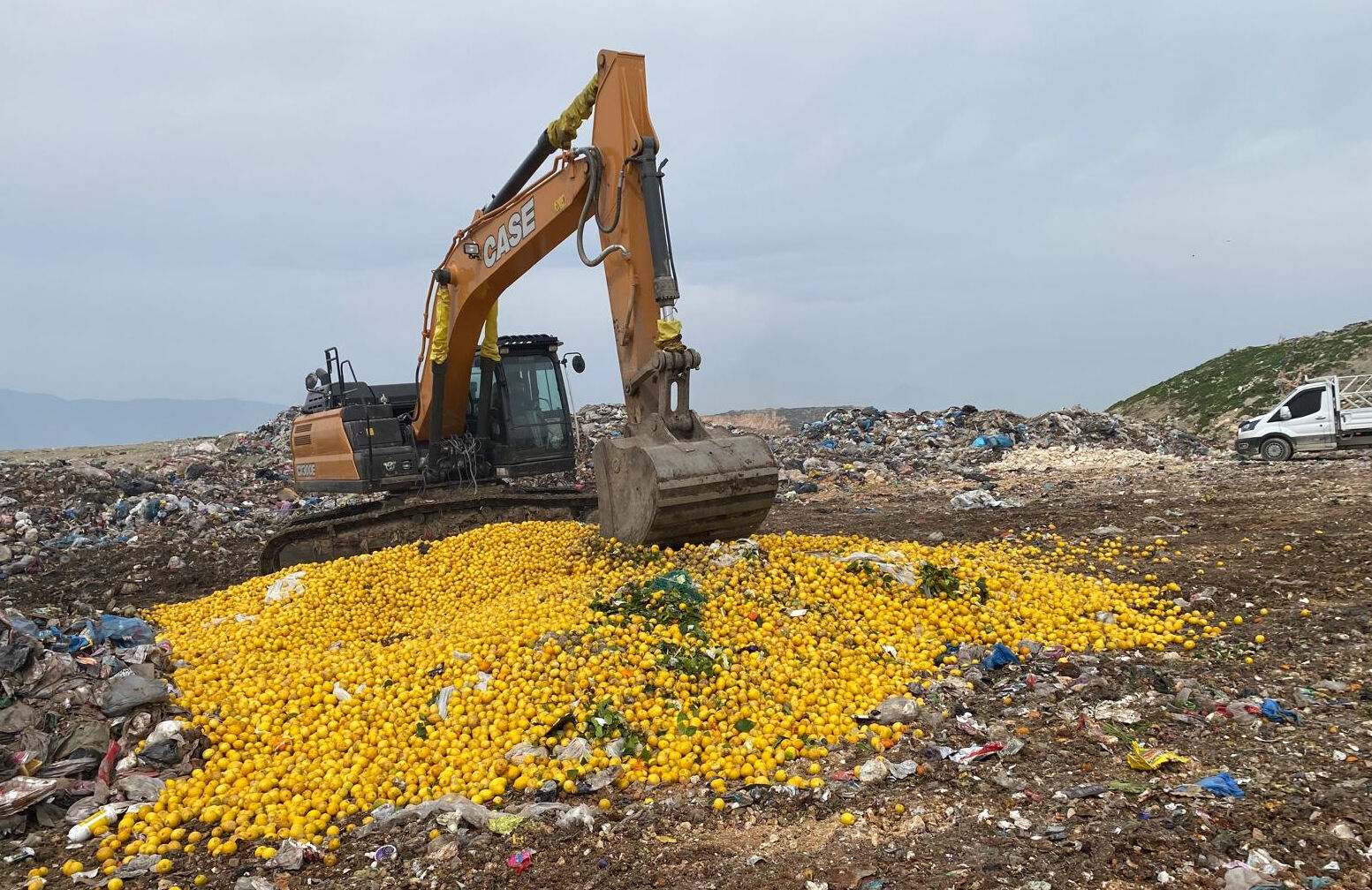 Dubai'ye ihraç edilecekti! Yasaklı madde bulunan kilolarca limon imha edildi Dubai'ye ihraç edilecekti! Yasaklı madde bulunan kilolarca limon imha edildi - 1. Resim