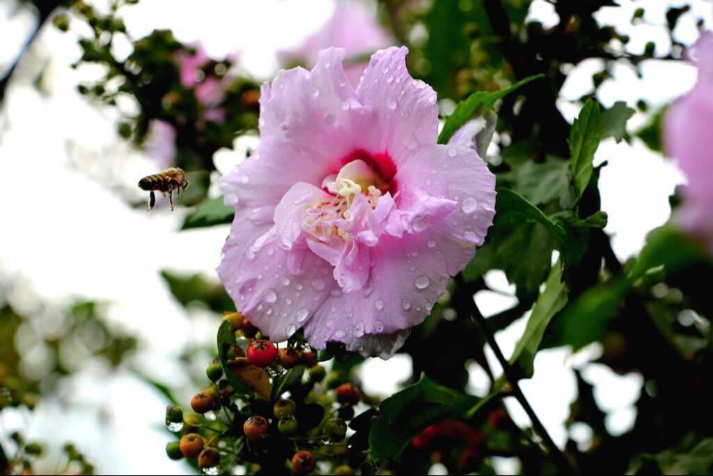 Üçüncü cemre düştü mü, ne zaman düşecek? 3. cemre düşmesi anlamı Üçüncü cemre düştü mü, ne zaman düşecek? 3. cemre düşmesi anlamı - 3. Resim