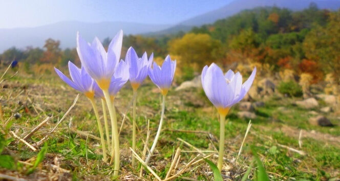 Üçüncü cemre düştü mü, ne zaman düşecek? 3. cemre düşmesi anlamı Üçüncü cemre düştü mü, ne zaman düşecek? 3. cemre düşmesi anlamı - 2. Resim