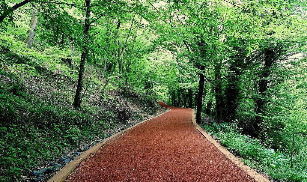 Belgrad Ormanları nerede? Belgrad Ormanı'nda kaybolan Ece Güler'in bulunması sonrası gündeme geldi! Belgrad Ormanları nerede? Belgrad Ormanı'nda kaybolan Ece Güler'in bulunması sonrası gündeme geldi! - 1. Resim