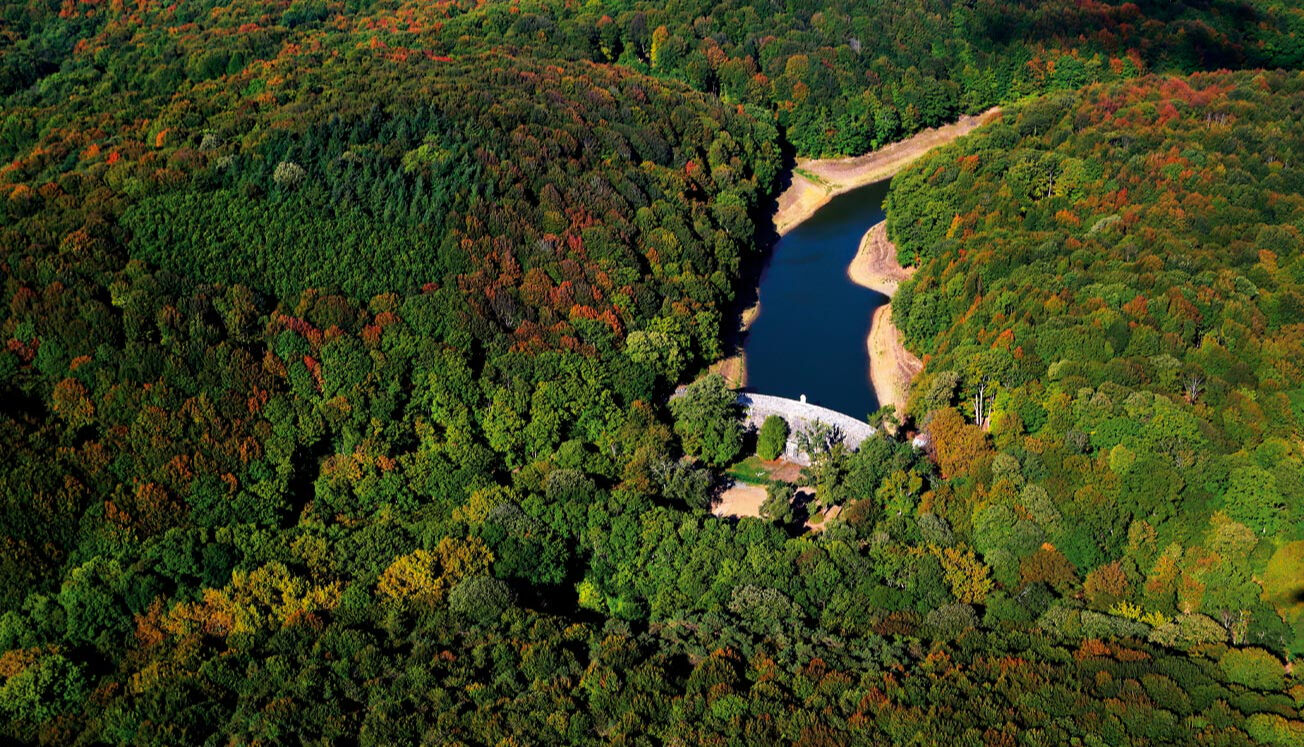 Belgrad Ormanları nerede? Belgrad Ormanı'nda kaybolan Ece Güler'in bulunması sonrası gündeme geldi! Belgrad Ormanları nerede? Belgrad Ormanı'nda kaybolan Ece Güler'in bulunması sonrası gündeme geldi! - 2. Resim
